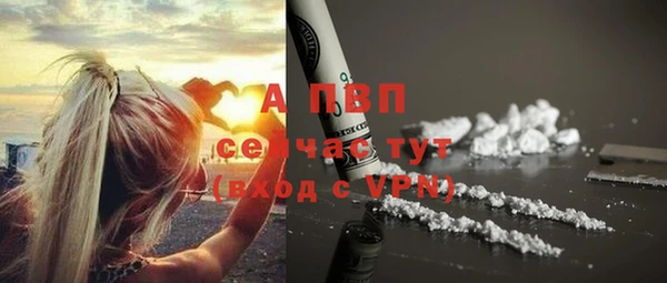 МДПВ Гусиноозёрск