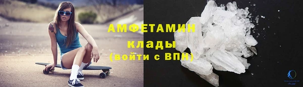 ПСИЛОЦИБИНОВЫЕ ГРИБЫ Гусев