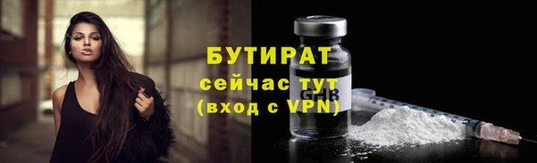 ПСИЛОЦИБИНОВЫЕ ГРИБЫ Гусев