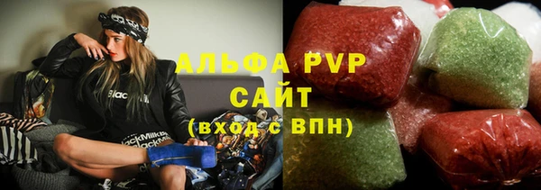 ПСИЛОЦИБИНОВЫЕ ГРИБЫ Гусев